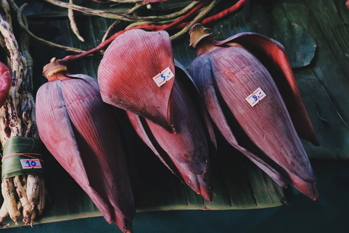 Tips Memilih Jantung Pisang yang Tidak Sepat