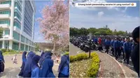 Pasangan ini ditonton ratusan anak SMA yang lagi study tour saat prewedding di kampus. (Sumber: TikTok/mimi_dpramita)