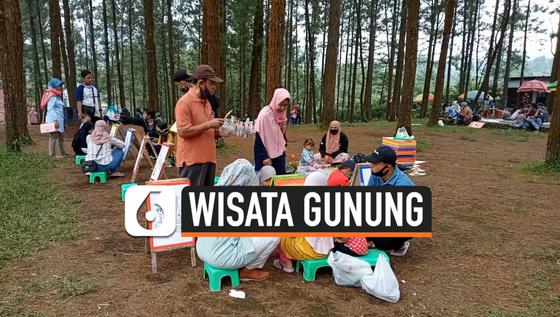 VIDEO: Sensasi Wisata Hutan Pinus di Lereng Gunung Slamet