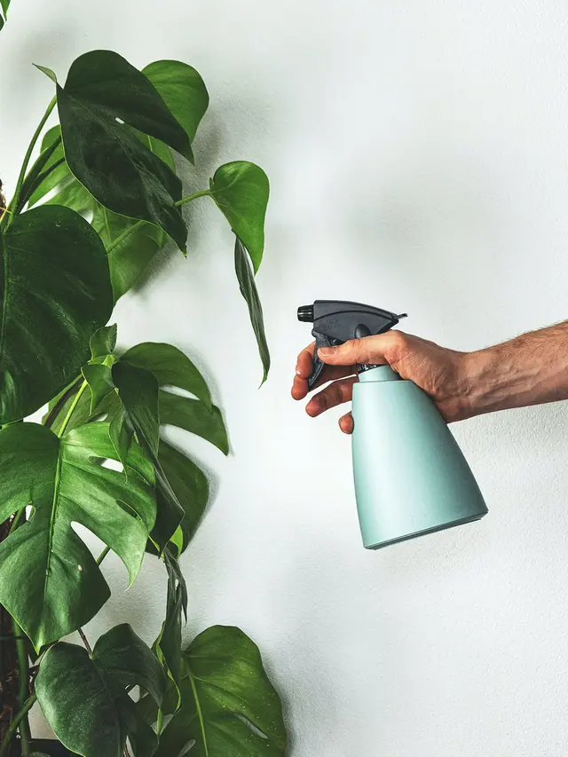 Janda bolong/dok. Severin