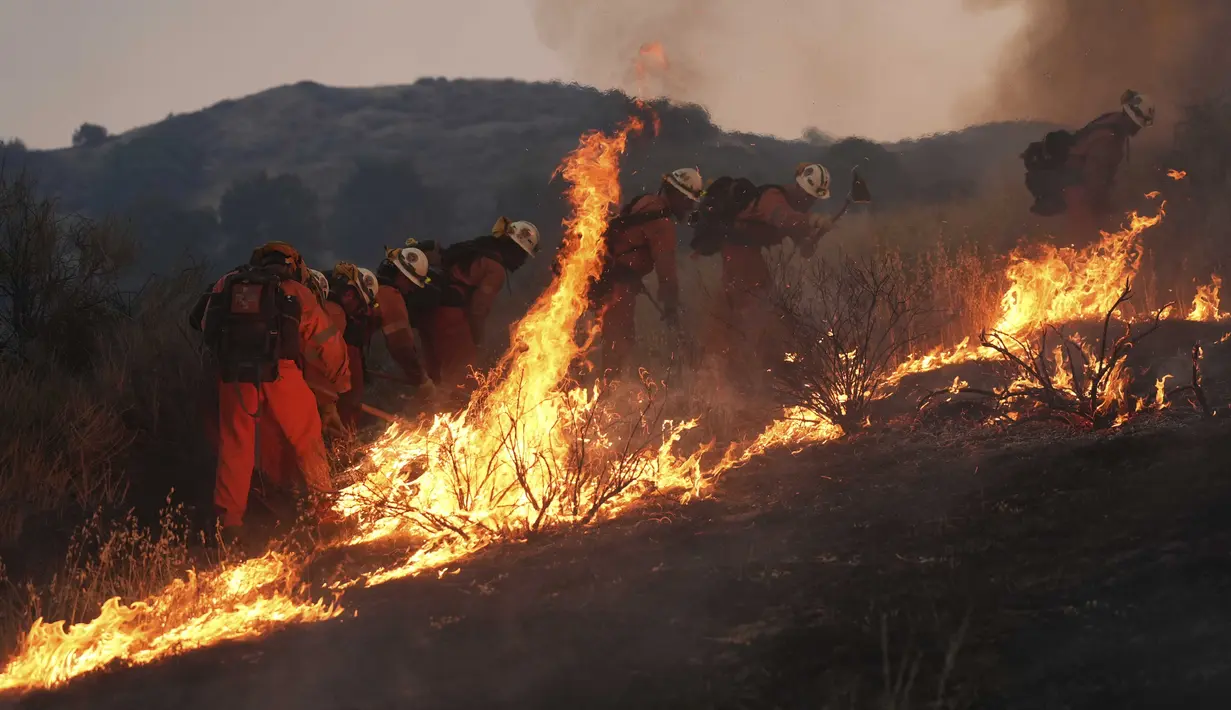 Personel dari tim pemadam berusaha memadamkan kebakaran yang disebut sebagai Canyon Fire pada Kamis 7 Agustus 2025 waktu setempat, di Halsey Canyon, California, Amerika Serikat. (AP Photo/Marcio Jose Sanchez)