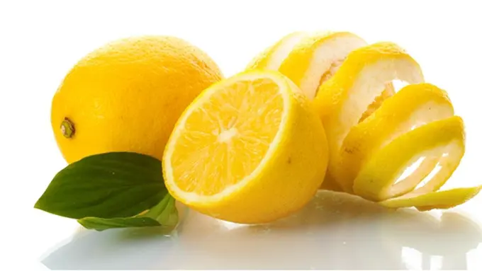 Copyright by Shutterstock.com