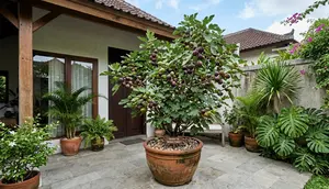 12 Cara Membuat Pohon Tin Pendek tapi Cepat Berbuah, Cocok Ditanam dalam Pot