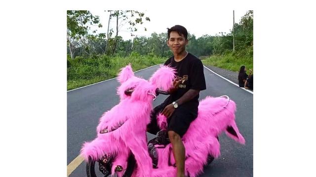6 Potret Motor Berbulu Ini Jadi Pusat Perhatian di Jalan Raya, Nyentrik