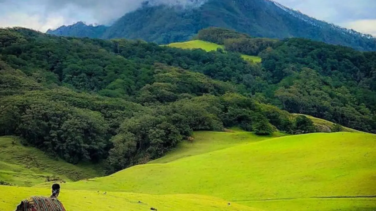 Taman Nasional Mutis Timau, NTT. (Foto: Ola Keda)