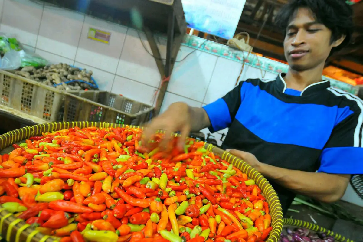 [Bintang] Editor Says: Hikmah yang Bisa Diambil dari Naiknya Harga Cabai