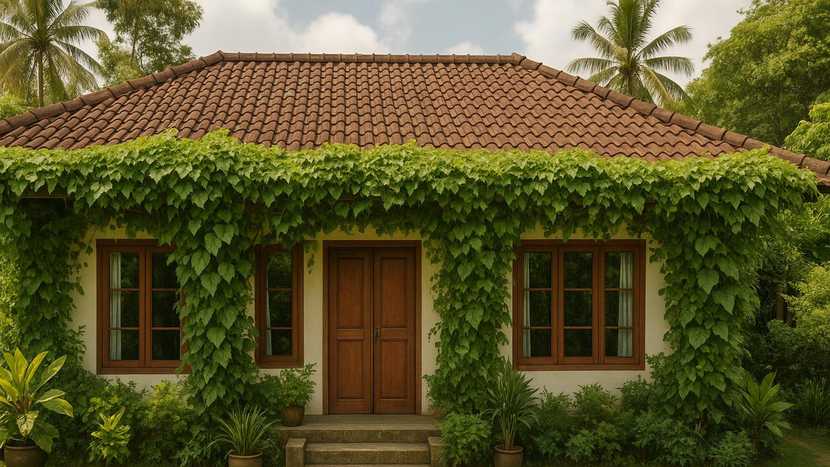 8 Inspirasi Rumah dengan Tanaman Merambat, Bikin Teduh dan Betah
