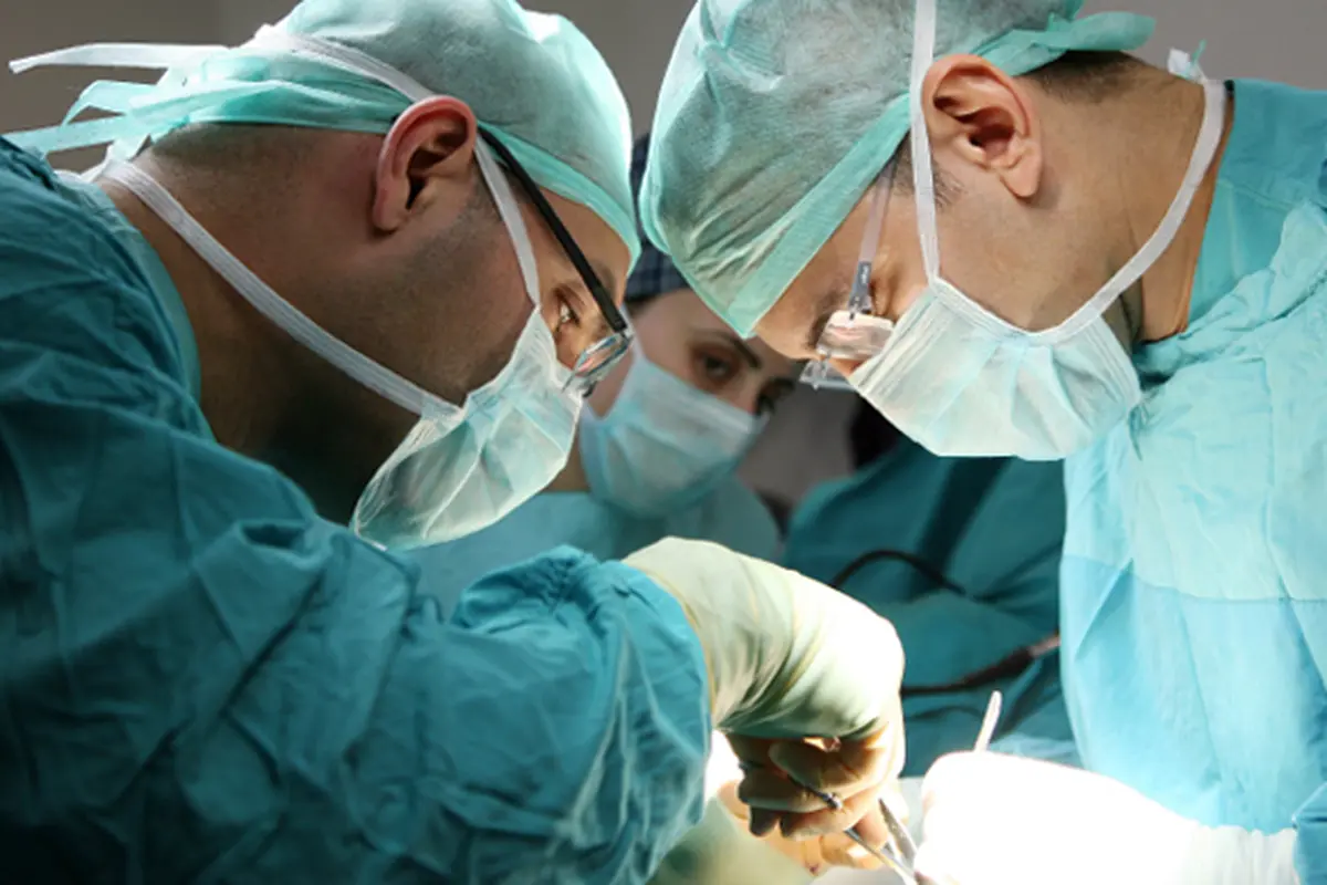 Transplantasi Kepala