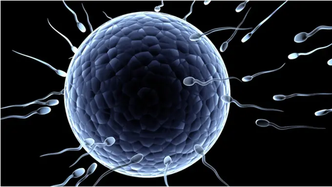 Courtesy ShutterStock.com