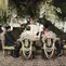 Prabowo dan Jokowi Jadi Saksi Nikah Kasespri Rizky Irmansyah (Foto: Tim Media Rizky-Chika)