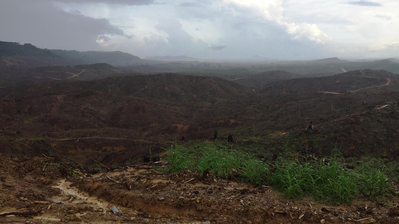 Lokasi titik pusat Ibu Kota baru berada di dataran tinggi di puncak bukit di Sepaku, Kabupaten Paser Utara