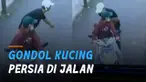 Dua pengendara motor terekam kamera CCTV saat mengambil kucing persia di jalan.