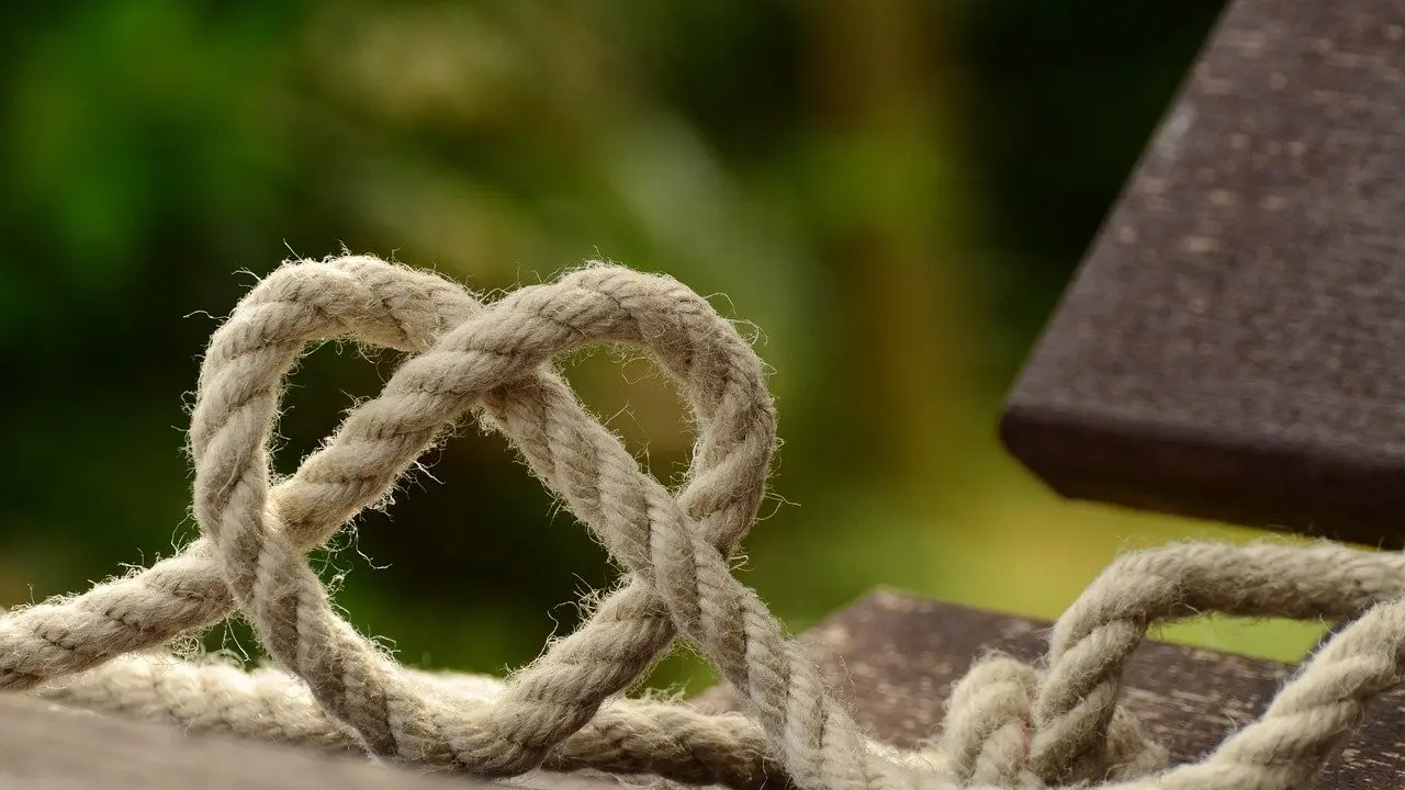 Ilustrasi Shibari