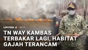 Karhutla Way Kambas Meluas, Api Ancam Jalur Perlintasan Gajah