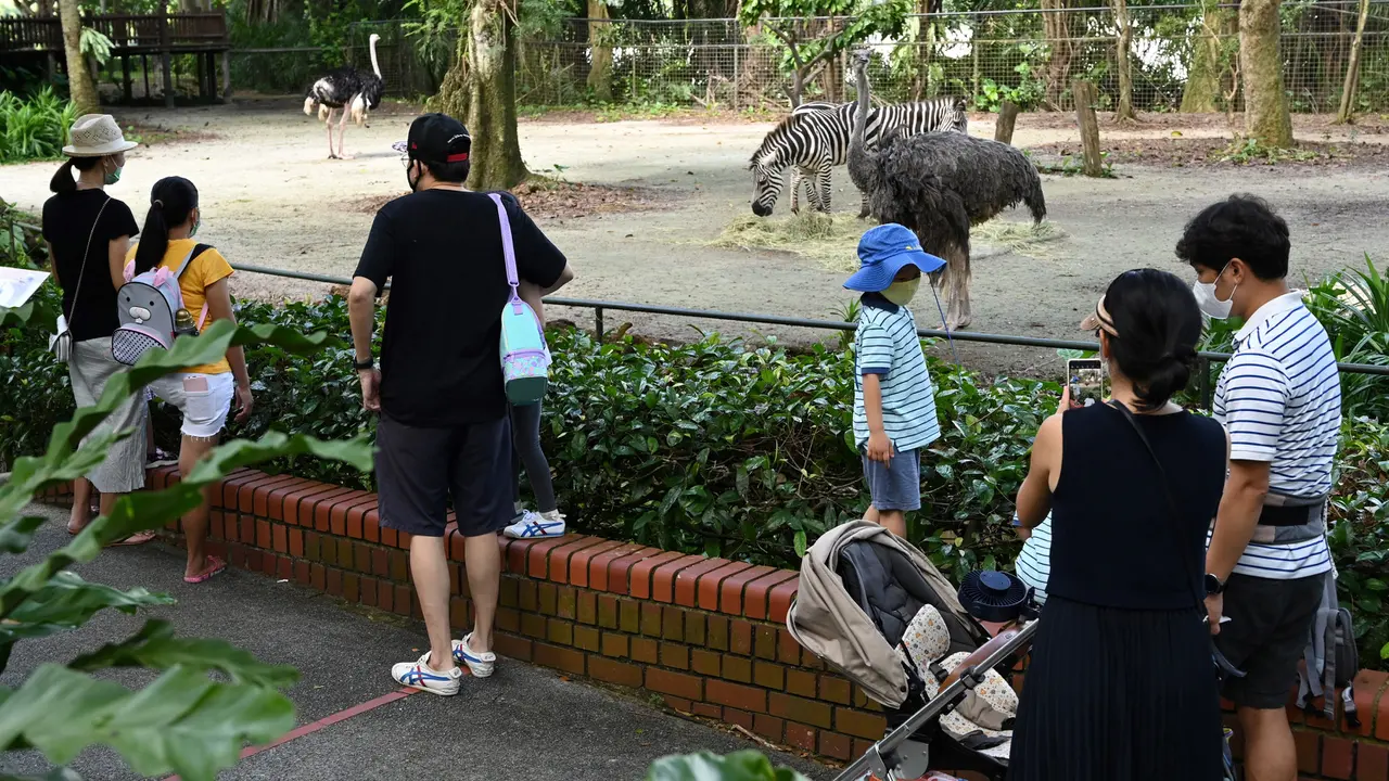 Kebun Binatang di Singapura