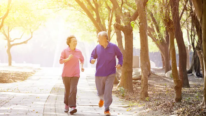 Ilustras Bumbu umami dapat menjaga kesehatan para lansia