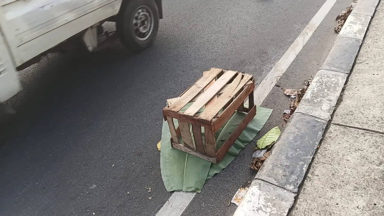 Jasad bayi yang hancur ditutupi daun pisang yang berada di fly over Jalan Raya Tanah Baru, Depok