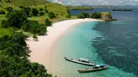 Taman Bawah Laut Pulau Komodo