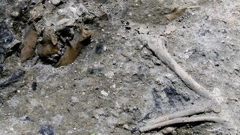 Reruntuhan Abad ke-3 Mirip Pompeii yang Hancur Ditemukan di Roma