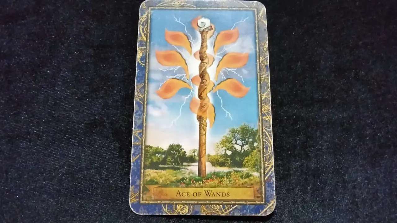 Tarot