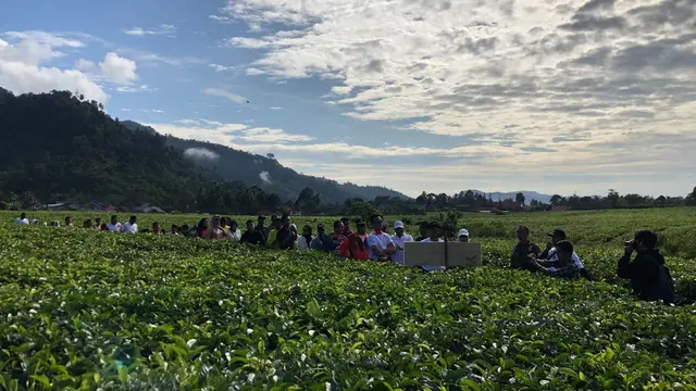 Holding BUMN Pangan atau ID FOOD ingin kmebali membumikan budaya minum teh di masyarakat. Disamping itu, ada potensi ekspor produk teh ke Taiwan hingga Jerman