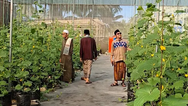 Kisah Ponpes di NTB Bangun Kemandirian Ekonomi, Unit Usaha Raup Omzet Rp 3 Miliar per Tahun