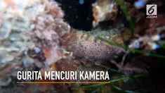 Seorang pria kewalahan ketika kamera miliknya ditarik oleh seekor gurita.