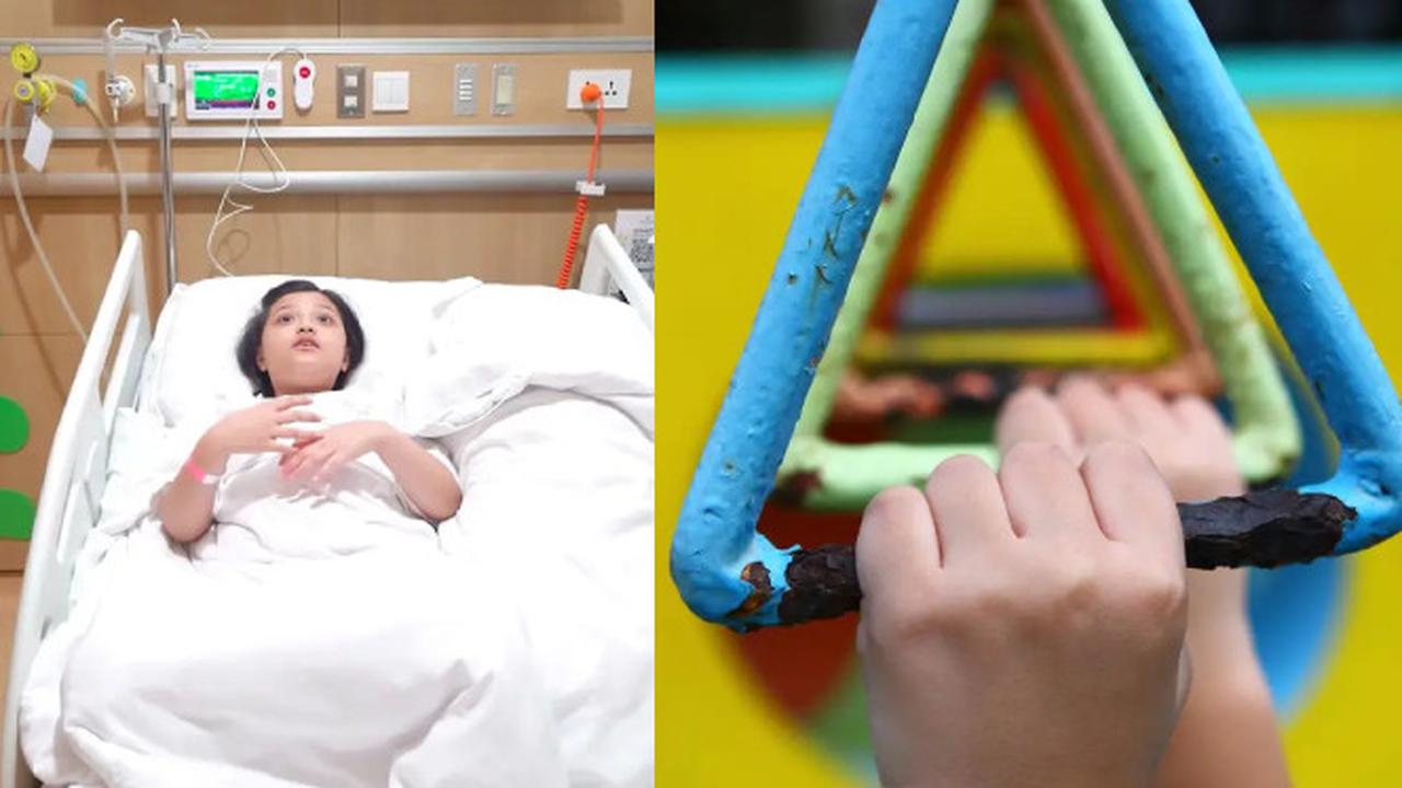 Anak Anang Hermansyah dan Ashanty, Arsy Hermansyah, Mengalami Kecelakaan. Arsy Jatuh dari Monkey Bar. Berikut Sejarah Monkey Bar yang Diciptakan Seorang Ahli Matematika Dunia (Foto: The Hermansyah dan Pixabay)