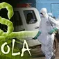 Ilustrasi Virus Ebola (Liputan6.com/Sangaji)