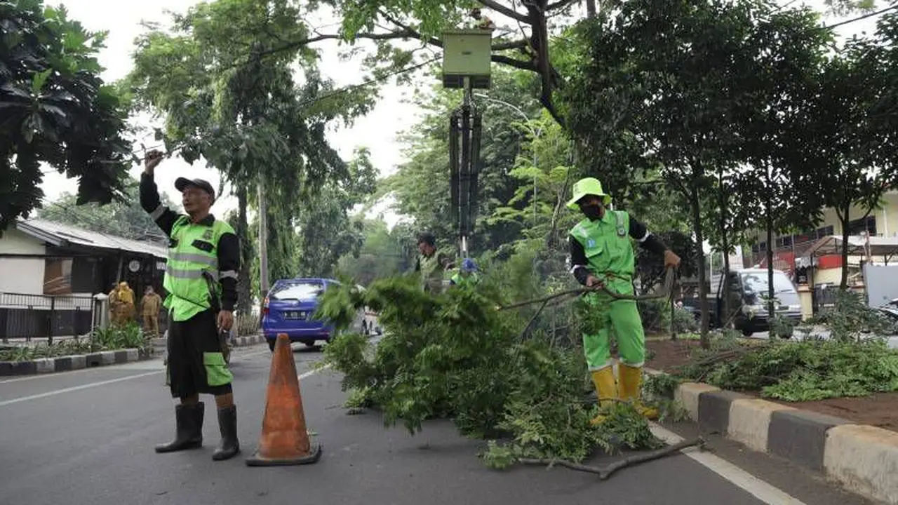 Petugas DLH Kota Tangerang Melakukan Penopingan Ranting untuk Mencegah Pohon Tumbang