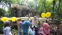 Pengunjung Ragunan Tembus 500 Ribu Orang Selama Libur Akhir Tahun hingga Awal 2026