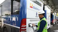 Hasil RUPS PTBA Umumkan Dividen, Begini Gerak Saham Bukit Asam Hari Ini 13 Juni 2025
