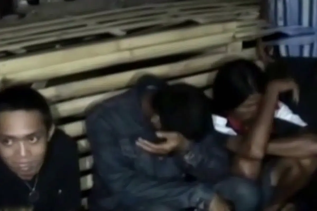 (lip6 Pagi) Sabung Ayam