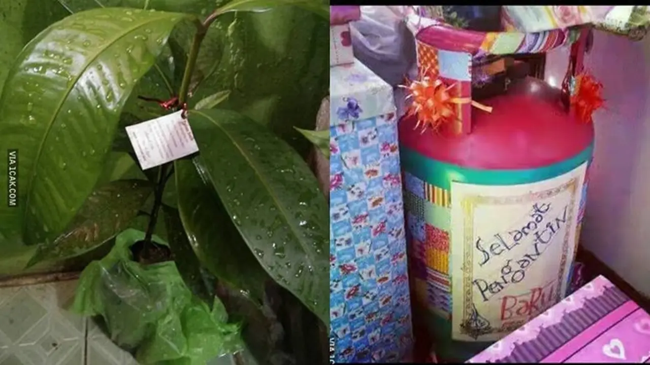 6 Hadiah Pernikahan Ini Nyeleneh Banget, Bikin Tepuk Jidat