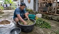 Cara Buat Comboran Kambing agar Cepat Gemuk, Begini Racikan dan Cara Memberikannya
