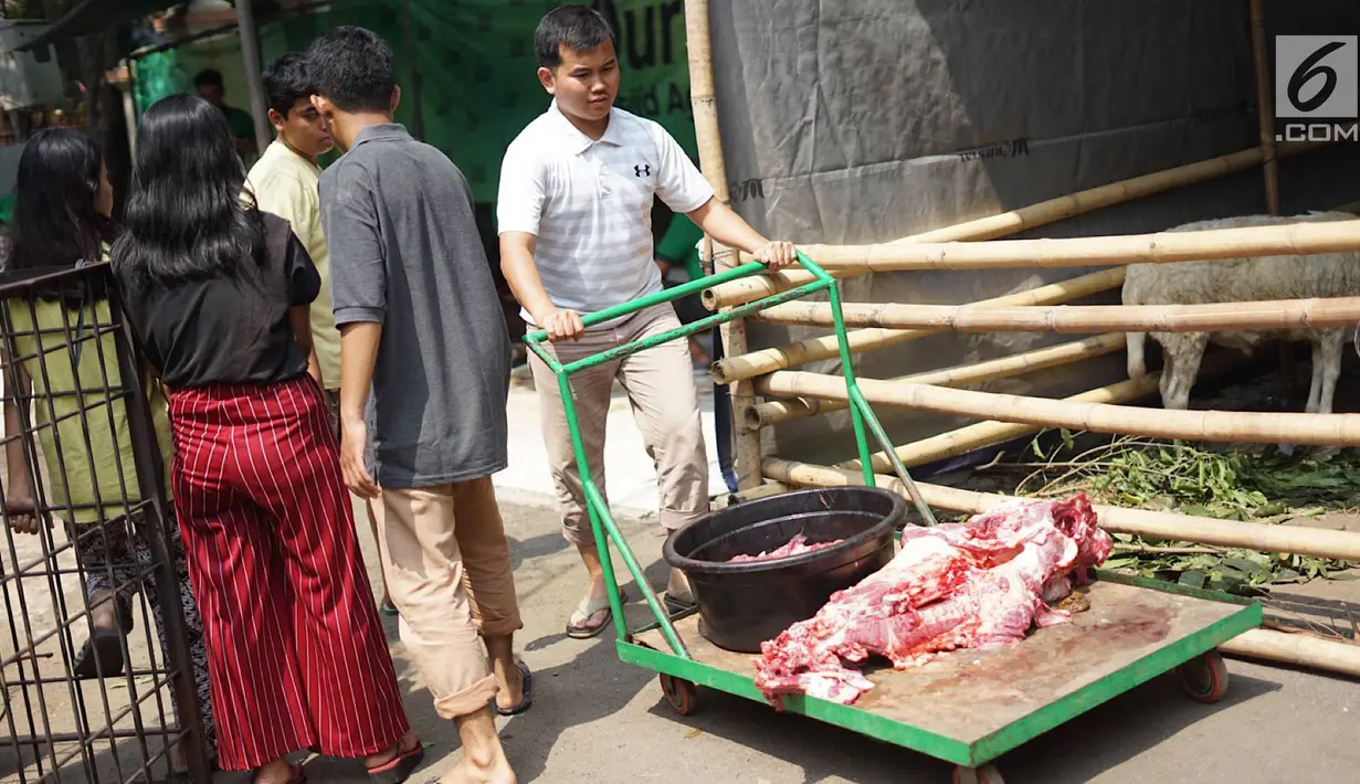 Seorang panitia membawa daging hewan kurban pada Idul Adha 1440 H di halaman Masjid Sunda Kelapa, Jakarta, Minggu (11/8/2019). Setiap tahun, Masjid Sunda Kelapa rutin melakukan penyembelihan hewan kurban yang berasal dari masyarakat. (Liputan6.com/Immanuel Antonius)