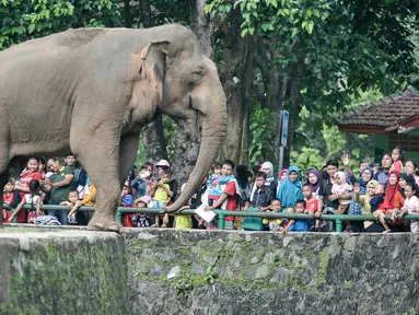 Pengunjung Kebun Binatang Ragunan kembali membeludak di libur Lebaran, Jakarta, Sabtu (9/7). Diprediksi jumlah pengunjung hari (Sabtu) ini mencapai 170.000 orang. (Liputan6.com/Yoppy Renato)