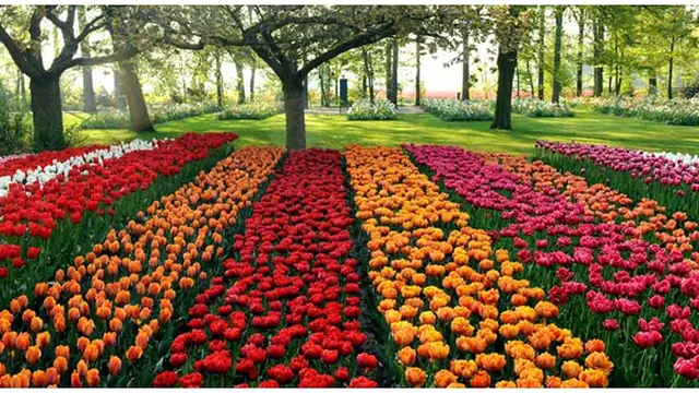 (c) hellomagazine.com