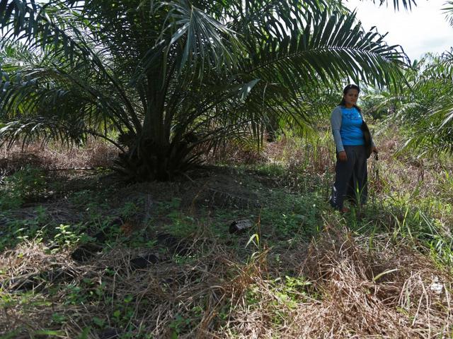 Morfologi Bandar Kuala Terengganu By R D Jpbd Issuu