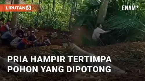 VIDEO: Viral Pria Hampir Tertimpa Pohon Yang Dipotong, Warganet: Untung Selamat
