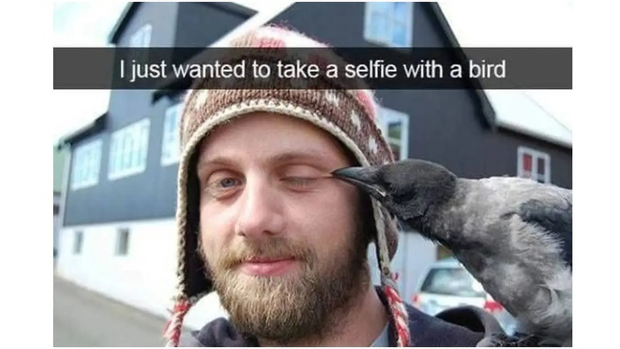 6 Momen Apes saat Selfie dengan Binatang Ini Bikin Ngelus Dada