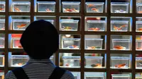 Pengunjung melihat ikan mas hias yang dipamerkan di sebuah museum di Sanfangqixiang (Tiga Jalur dan Tujuh Lorong), Kota Fuzhou, Provinsi Fujian, China, 23 September 2020. Lebih dari 3.000 ikan mas hias dari sekitar 100 spesies dipamerkan di museum tersebut. (Xinhua/Wei Peiquan)