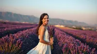 Arti Bunga Lavender: Makna, Manfaat, dan Keindahannya