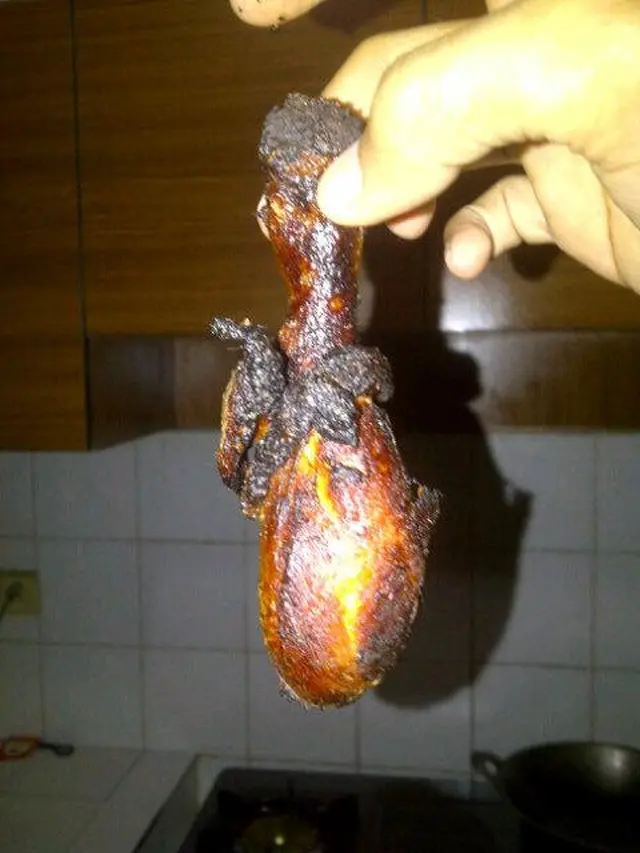 6 Momen Apes Masak Ayam Sampai Gosong Ini Bikin Enggak Napsu Makan
