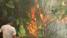 (Video) Asap Riau - Liputan6 Pagi 