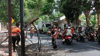 Proses perempesan pohon diseputaran Jalan Jaksa Agung Suprapto, Banyuwangi Kota oleh tim reaksi cepat BPBD Banyuwangi (Istimewa)