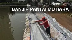 Banjir atau rob yang disebabkan tanggul pantai yang jebol di kawasan Perumahan Pantai Mutiara, Kelurahan Pluit, Kecamatan Penjaringan, Jakarta Utara, pada Jumat malam