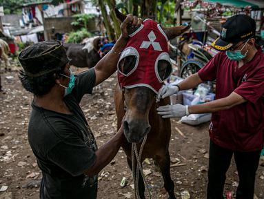 Dokter hewan Dinas Ketahanan Pangan, Kelautan dan Pertanian (KPKP) memeriksa kesehatan kuda delman di Jakarta, Kamis (4/2/2021). Kegiatan dilakukan untuk memberi bantuan pakan dan pemeriksaan kesehatan serta pengambilan sampel. (Liputan6.com/Faizal Fanani)