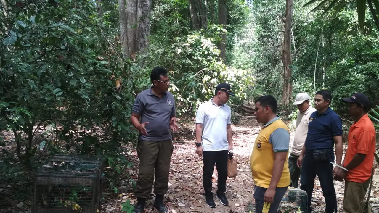 Burung Nuri di Cagar Alam Panua
