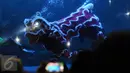 Salah satu atraksi barongsai di dalam kolam SeaWorld, Ancol, Jakarta, Sabtu (28/1). Atraksi barongsai ini untuk memeriahkan perayaan Tahun Baru Imlek 2568. (Liputan6.com/Helmi Fithriansyah)